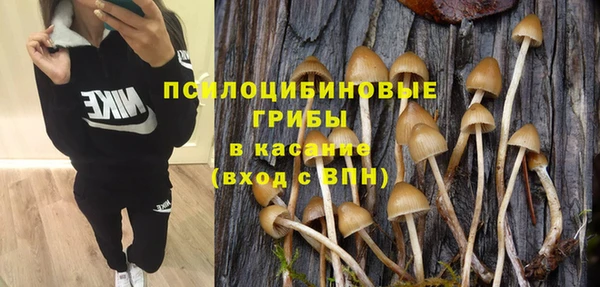 ешки Алексеевка